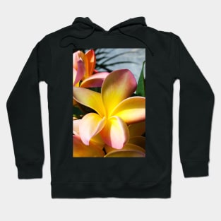 plumeria-flowers-frangipani-floral-awesome-bossom-shirtyshirto-91 Hoodie